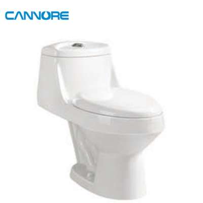 Hot Sale Water Ridge One Piece Dual Flush Toilet