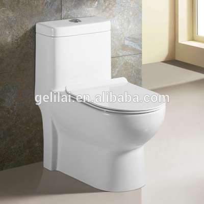 Bathroom sanitary dual flush wc toilet bowl Ceramic one piece siphonic wc toilet seat