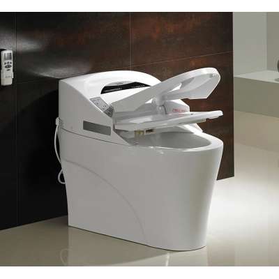 Floor standing ceramic  China Automatic Intelligent Toilet