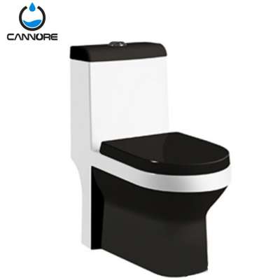 ECO bathroom colored system porcelain water saving siphonic toilet