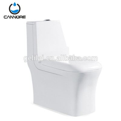 Chinese manufacturer support one piece toilet cheap price for Iran market